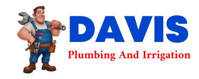 Trusted plumber in COBB